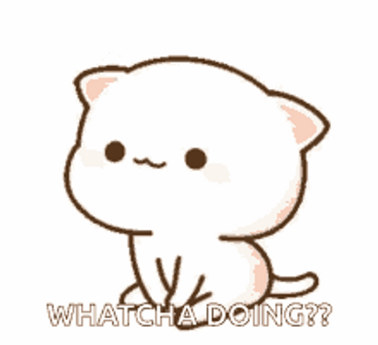 Whatcha Doin Cute Cartoon Kitty GIF