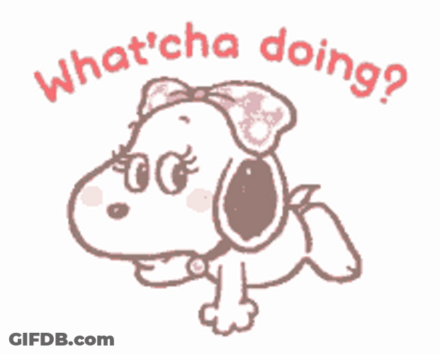 Whatcha Doin Cute Girly Dog GIF