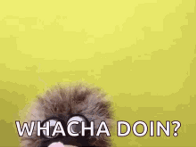 Whatcha Doin Weird Puppet Teeth GIF