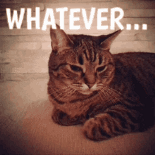 Whatever Bored Cat GIF