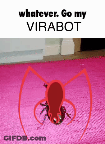 Whatever Go My Sugarfly GIF