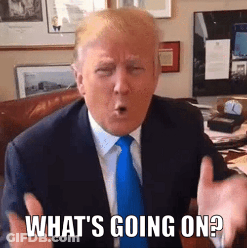 Whats Going On Donald Trump Asks Angrily GIF