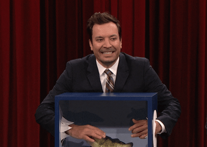 Whats In The Box Jimmy Fallon Shocked  Screaming GIF