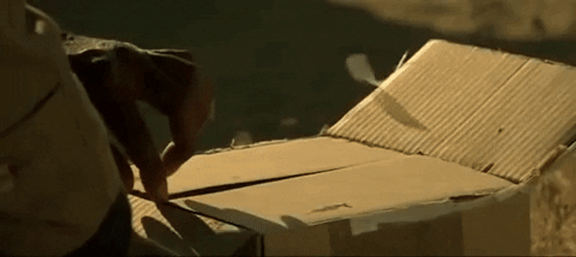 Whats In The Box Morgan Freeman Shocked Se7en GIF