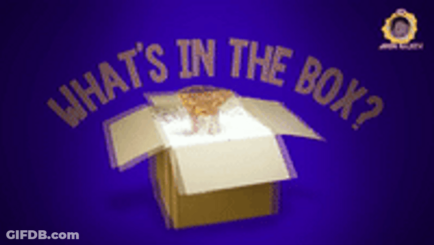 Whats In The Box Random Gifts Pizza Camera GIF