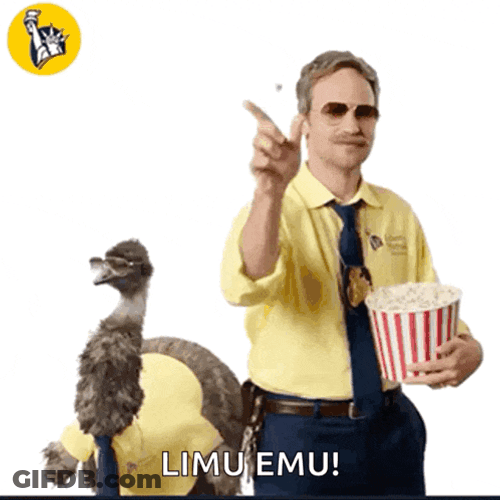 Whats Is GIF