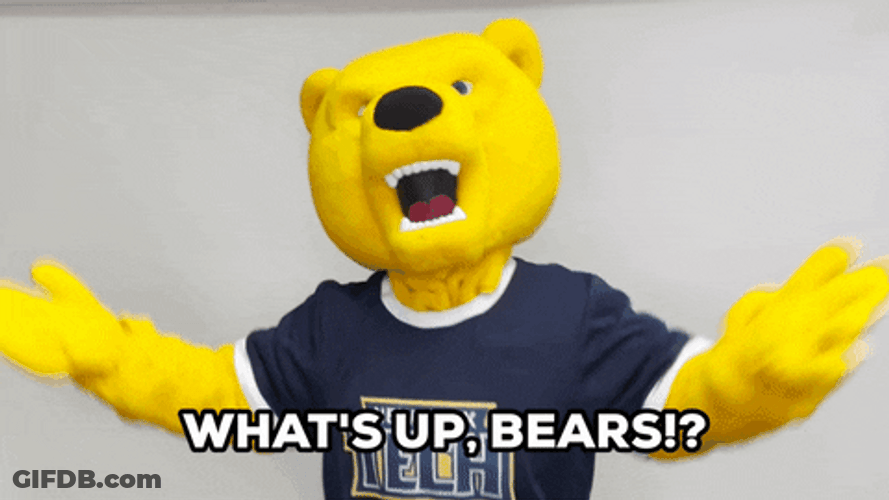 Whats Up Bear Greetings GIF