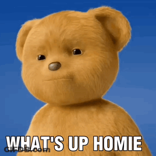 Whats Up Brother Cool Fluffy Bear GIF