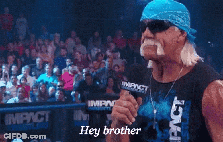 Whats Up Brother Hulk Hogan Nodding GIF