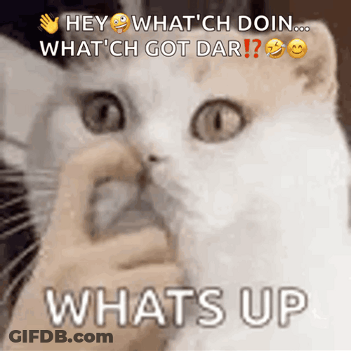 Whats Up Doc Car Groaning GIF