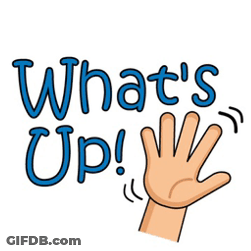 Whats Up Doc Hands Up In The Air GIF