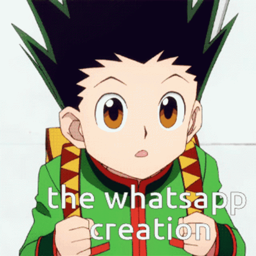Whatsapp Gon Freecss GIF