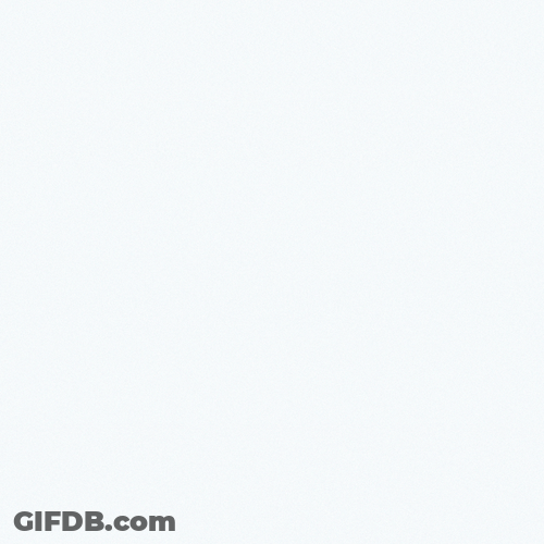 Whatsapp Spinning Logo GIF
