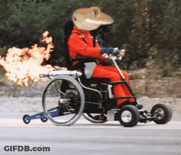 Wheelchair Lizard Animation GIF