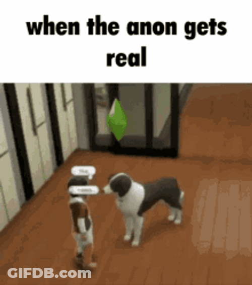 When Anon Gets Real Dog Hug GIF