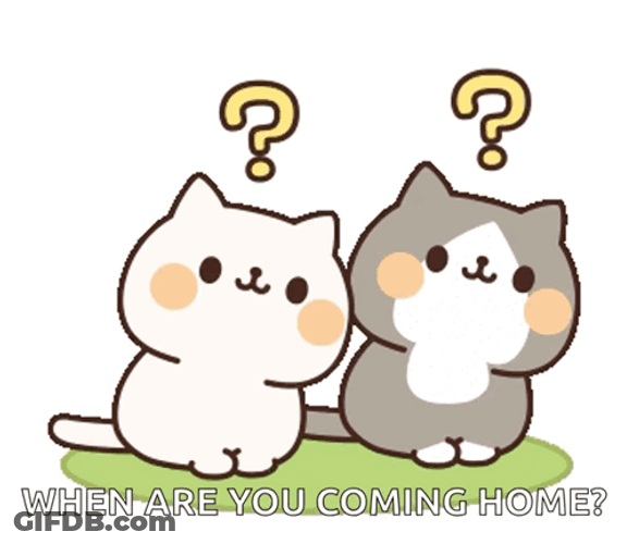 When Are You Coming Home GIF