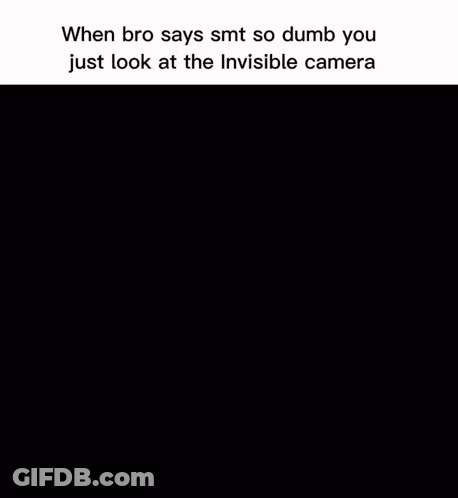 When Bro Says Smt So Dumb You Just Look At The Invisible Camera Cartoon GIF