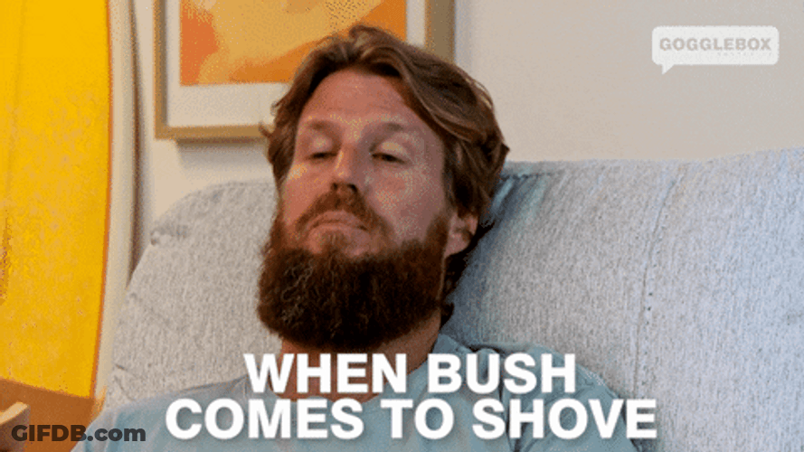 When Bush Comes To Shove GIF