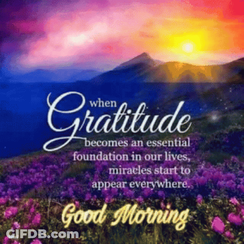 When Gratitude Becomes An Essential Adage GIF