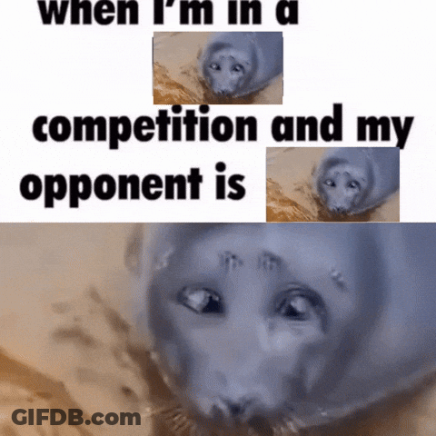 When I 'M In A Competition And My Opponent Is A Seal GIF