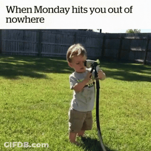 When Manic Monday Hits You GIF