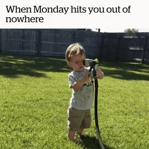 When Monday Hits You Nowhere GIF