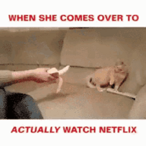 When She Actually Comes To Watch Netflix GIF