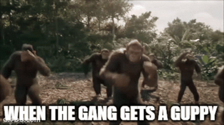 When The Gang Gets Guppy Gorilla Dancing GIF
