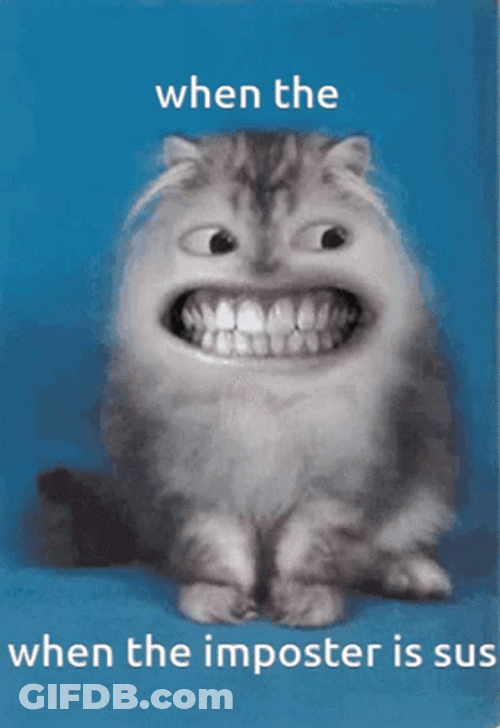 When The Imposter Is Sus Cat Grinning GIF