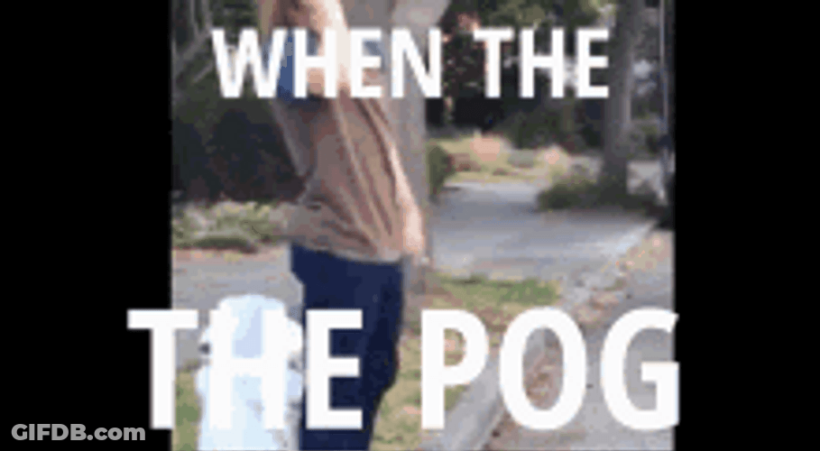 When The Pog Angry GIF
