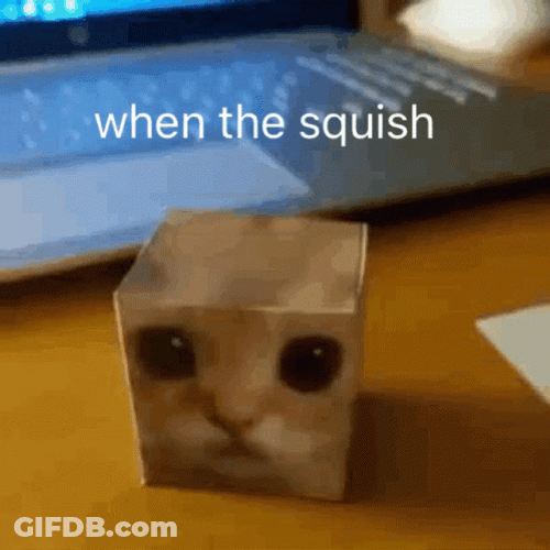 When The Squish Cat In A Box GIF