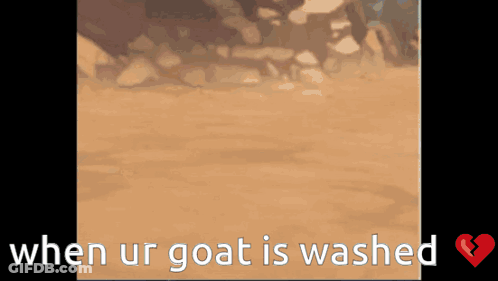 When Ur Goat Is Washed Brown Background GIF