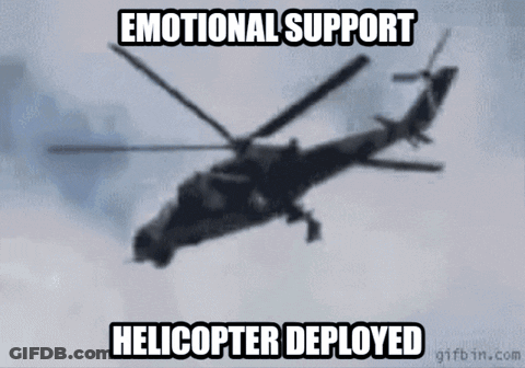 When Women Support Each Other Incredible Things Happen GIF