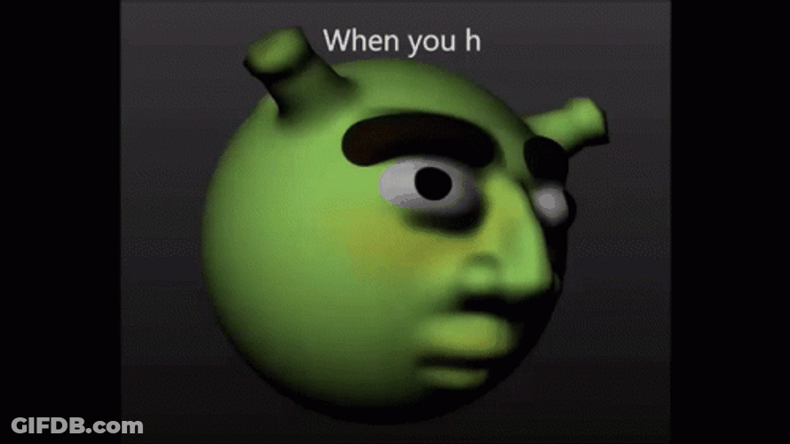 When You H Shrek GIF