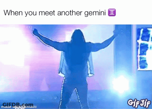 When You Meet Another Gemini Man GIF