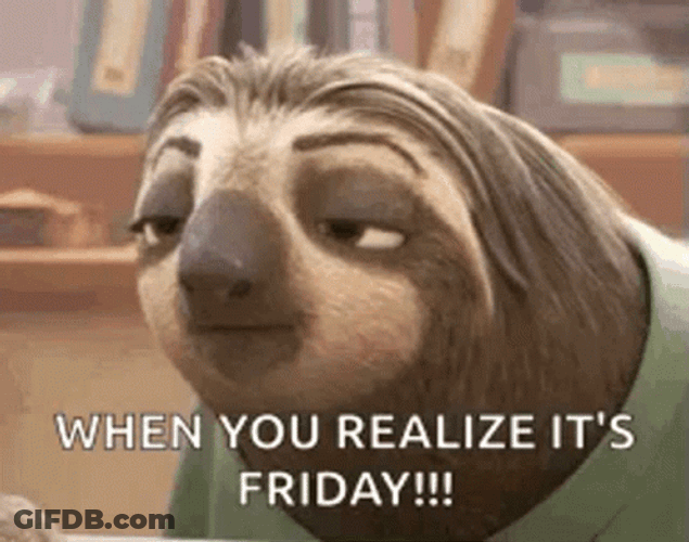 When You Realize It's Friday Funny Sloth GIF
