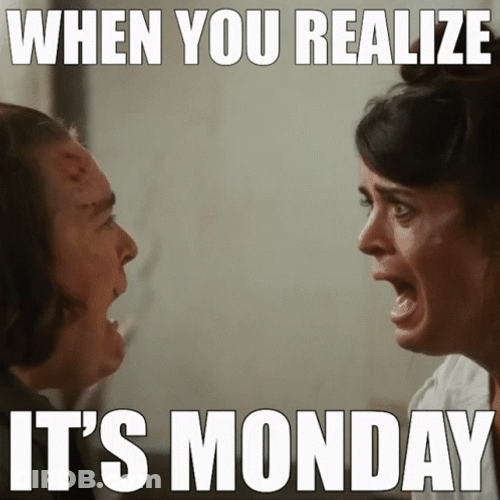 When You Realize Its Monday Meme GIF