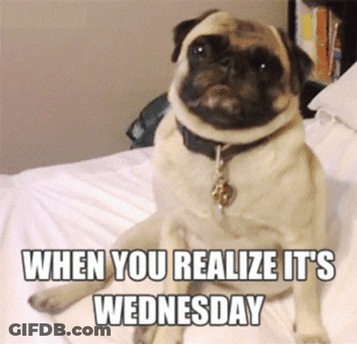 When You Realize Its Wednesday GIF