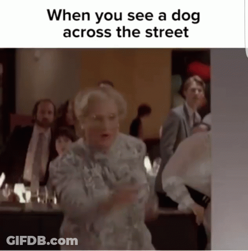When You See A Dog Across The Street Woman GIF