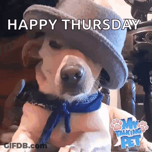When You Think It's Friday But It's Only Thursday GIF