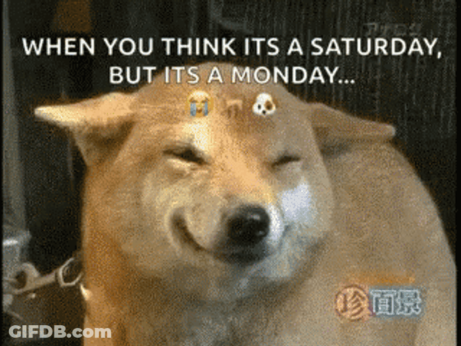 When You Think Its Saturday But Monday Monday GIF
