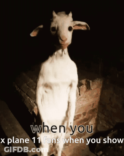 When You X Plane 11 Fans GIF