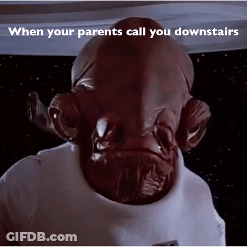 When Your Parents Call You Downstairs GIF