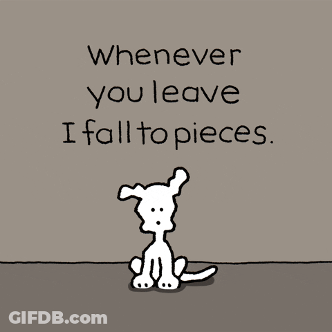 Whenever You Leave I Fall To Pieces. Chippy The Dog GIF