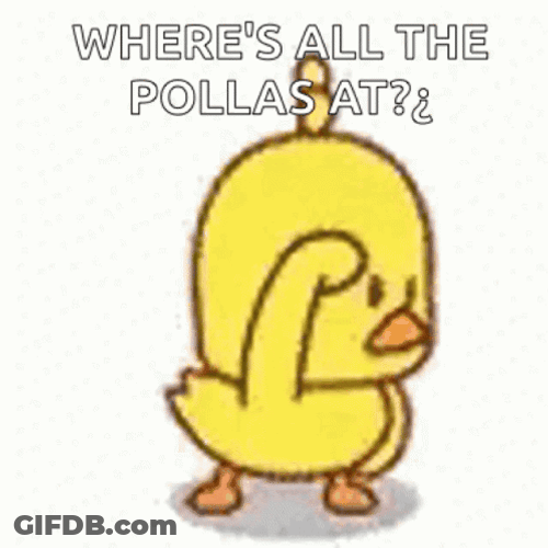 Where All The Pollas At GIF