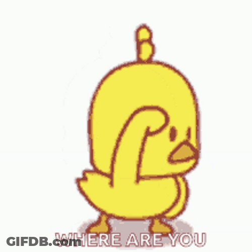Where Are You Cute Chick Looking For You GIF