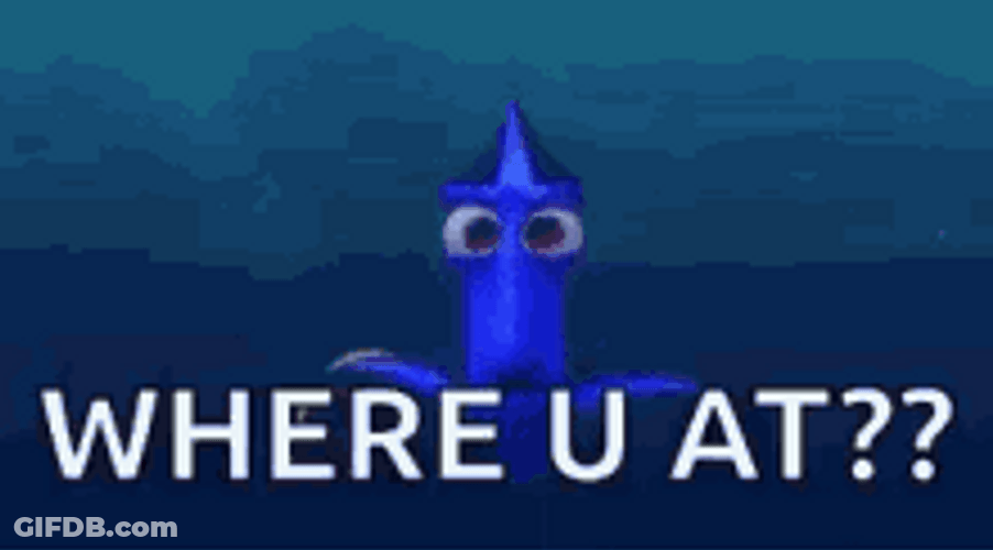 Where Are You Finding Dory GIF