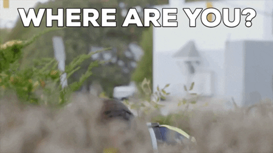 Where Are You Telescope Spying GIF