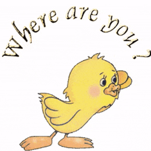 Where Are You Ugly Duckling GIF