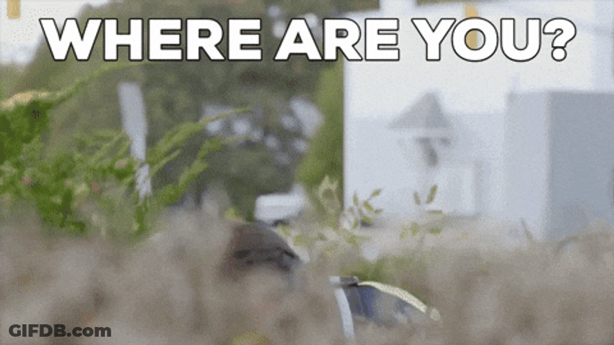 Where Is Everyone Where Are You Telescope Man GIF